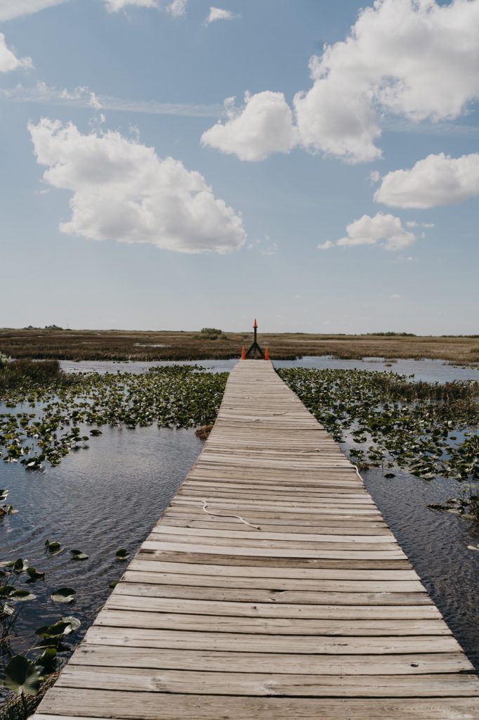 Le parc National des Everglades en Floride